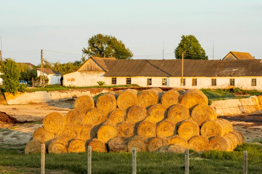 הורשה של זכויות בר רשות במשק חקלאי