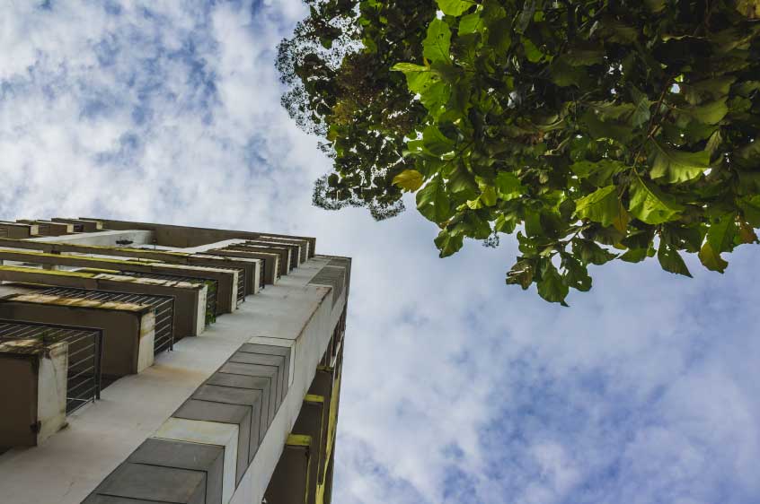 רישום זיקת הנאה מכוח שנים גם במקרקעין שנחכר בחכירה לדורות