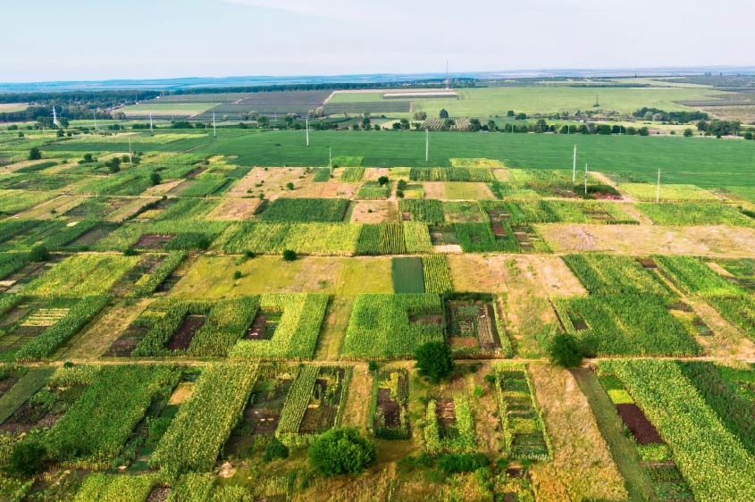 כדאיות מכירת נחלה – משק חקלאי