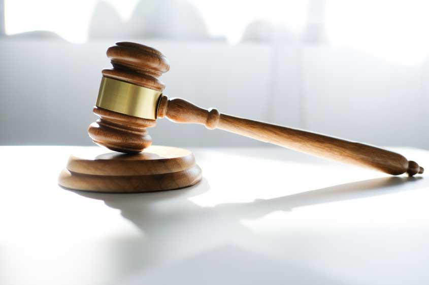 עו"ד טל פינק שליש: היכולת שלי להתחבר לסיפור האנושי גורם להצלחת רוב התיקים בהם אני מטפלת