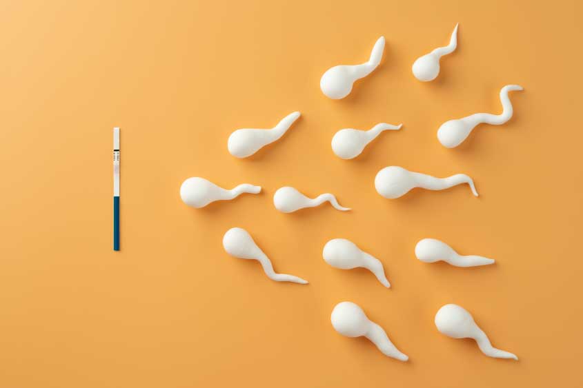 גניבת זרע – ניצול ציני של גברים למטרת הולדה