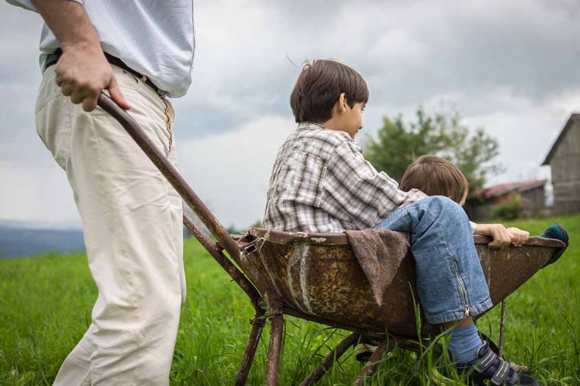 מונה בן ממשיך למשק? תיקון כללי ההורשה בנחלה מחייב אתכם לבטל את מינוי הבן הממשיך