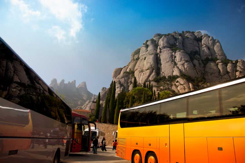 חברת מטיילי אירוס ירוחם מבקשת מביהמ"ש צו הקפאת הליכים